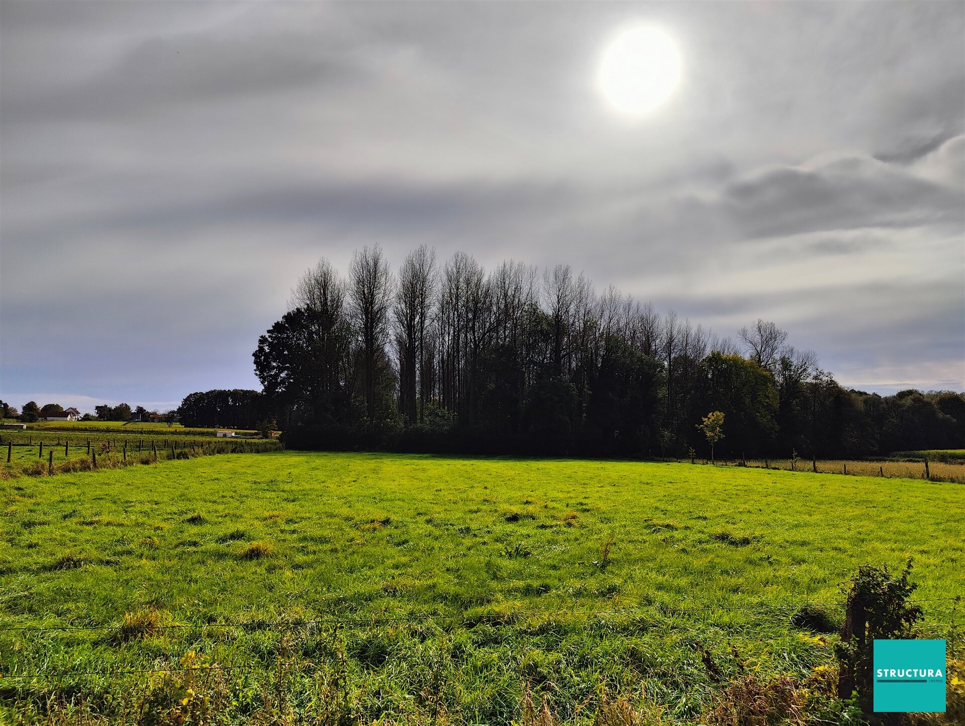 Bois à vendre à OPWIJK