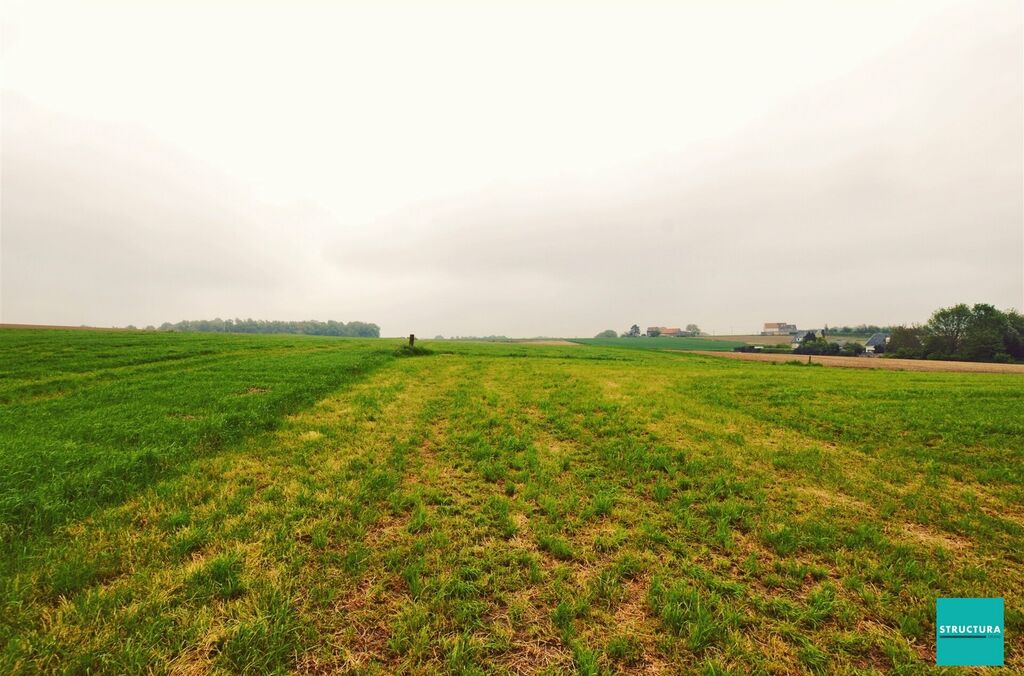 Bouwgrond te koop in BEKKERZEEL