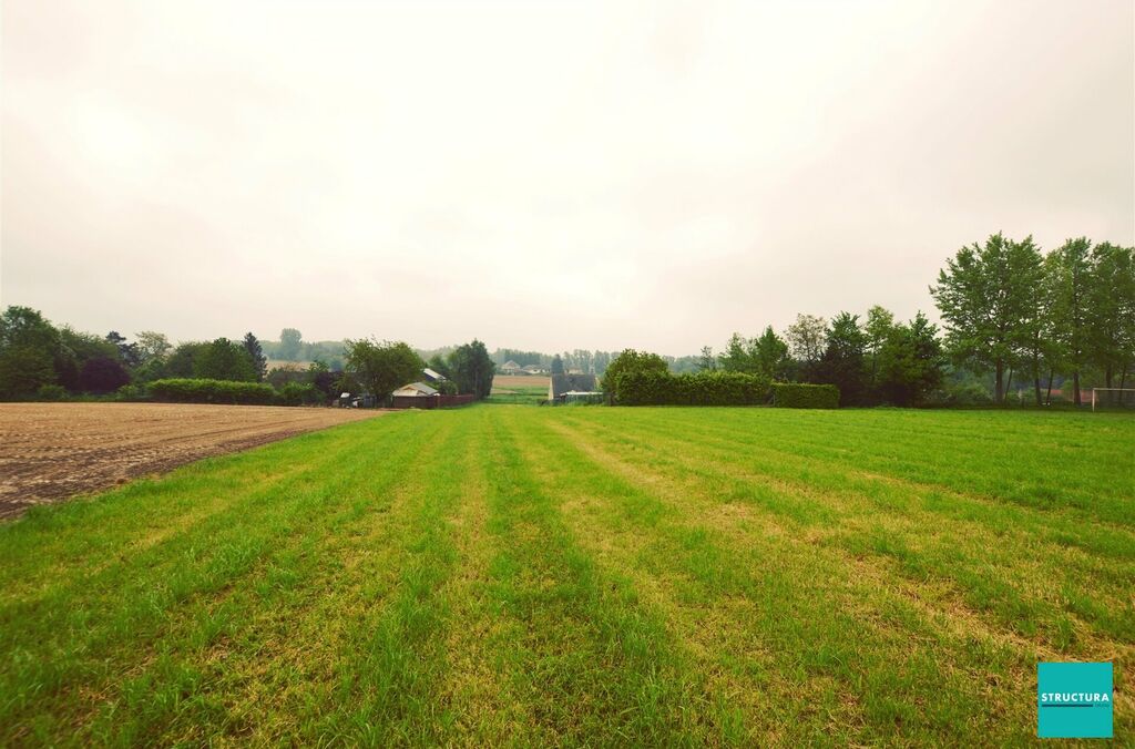 Terrain à bâtir à vendre à BEKKERZEEL